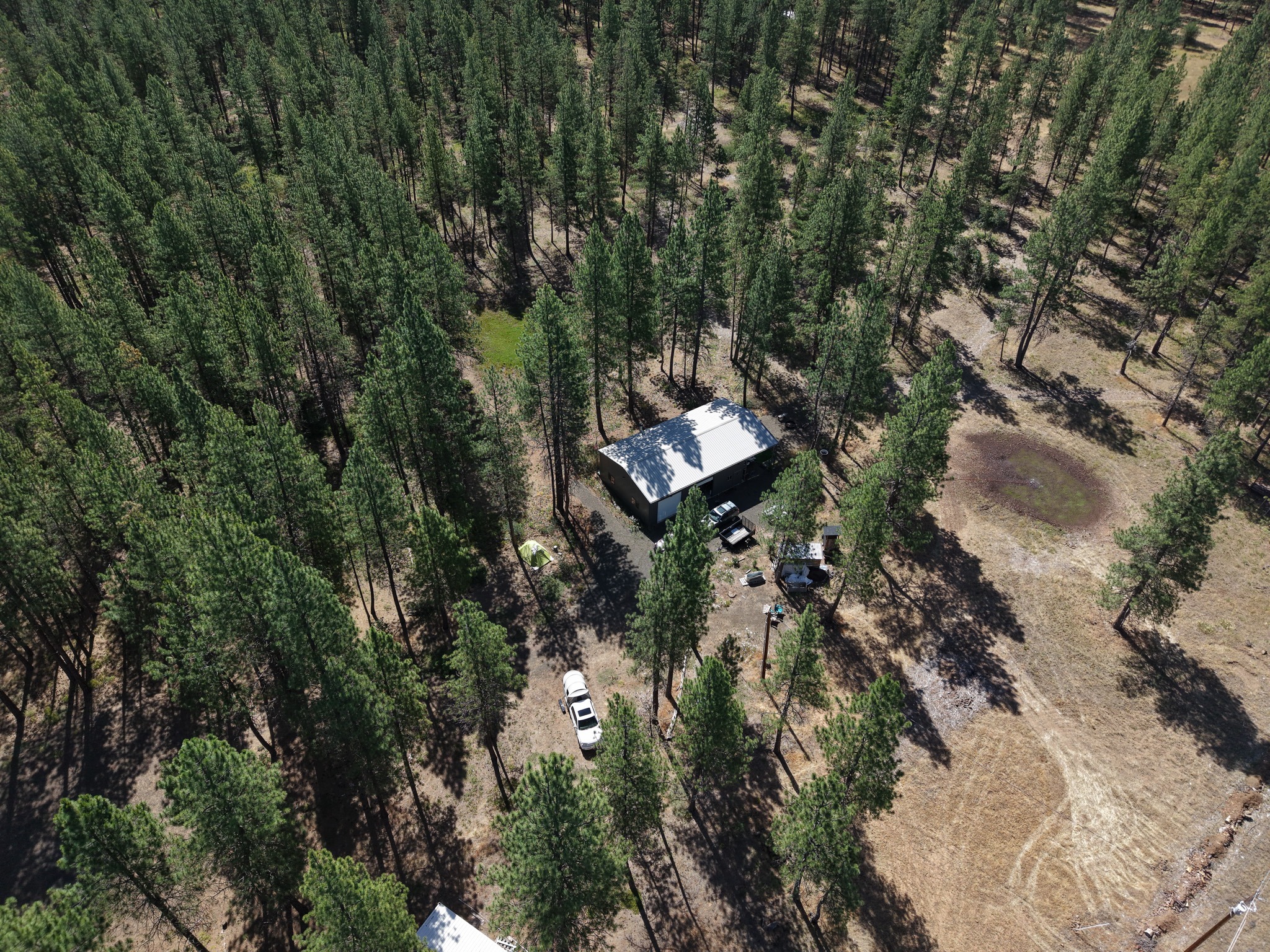 Aerial view of a home surrounded by a pine forest